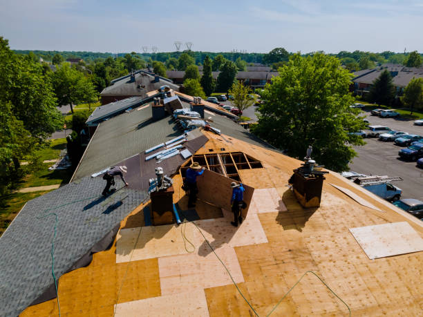 Quick and Trustworthy Emergency Roof Repair Services in Raleigh, NC