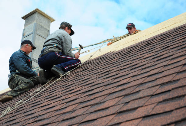 Best Roof Gutter Cleaning  in Raleigh, NC
